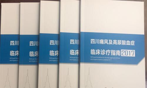 指导.jpg