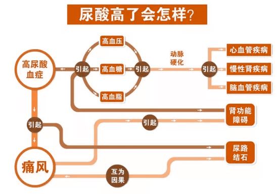 420全民关注痛风日|四川省痛风、风湿骨病患者补贴政策已发布!同步北京、四川名医联合会诊【预约开启】 420全民关注痛风日|四川省痛风、风湿骨病患者补贴政策已发布!同步北京、四川名医联合会诊【预约开启】